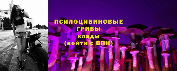 гидропоника Красноперекопск