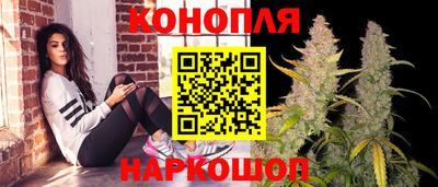 шишки Коммунар