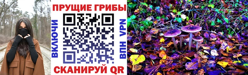 Галлюциногенные грибы GOLDEN TEACHER  где можно купить наркотик  Котельники 