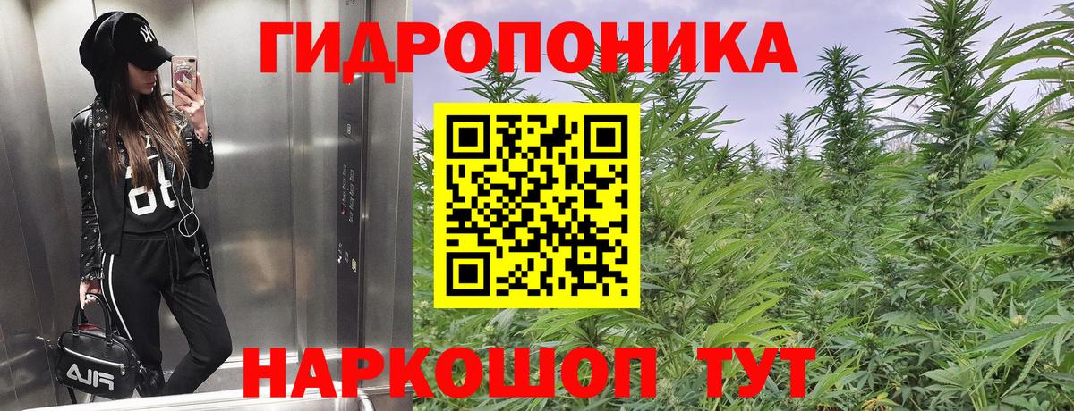 Канабис индика  Бошки марихуана планчик  Вход с VPN  Марихуана тримм  Канабис сатива  Котельники 